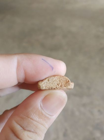 พระเนื้อดิน(พระพิมพ์พระพุทธชินราชพิมพ์ปรกโพธิ์หลังเรียบ(150406)(ไม่ทราบพระเกจิที่สร้าง)(ไม่ทราบรุ่น))พระบ้านพระเครื่องรางของมงคล รูปที่ 13