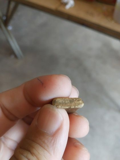 พระเนื้อดินผสมผงพิมพ์เล็ก(พระพิมพ์พระกลีบบัวทาทอง(พระหลวงพ่อสินธุ์)(วัดบรรลือธรรม)(จังหวัดพระนครศรีอยุธยา)(020202))พระเครื่องรางของมงคล รูปที่ 16