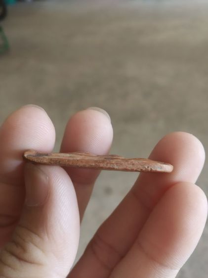 พระเนื้อดิน(พระพิมพ์พระปางลีลากำแพงทุ่งเศรษฐีหรือพระลีลากำแพงเขย่ง(160401)(ไม่ทราบพระเกจิที่สร้าง)(ไม่ทราบรุ่น))พระบ้านพระเครื่องรางของมงคล รูปที่ 15