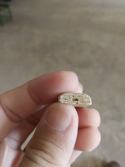 พระเนื้อว่านผสมผงพิมพ์เล็ก(พระพิมพ์พระสมเด็จหลังเรียบ(ไม่ทราบรุ่นและอายุ)(ไม่ทราบพระเกจิที่สร้าง)(160402))พระบ้านพระเครื่องรางของมงคล รูปที่ 16