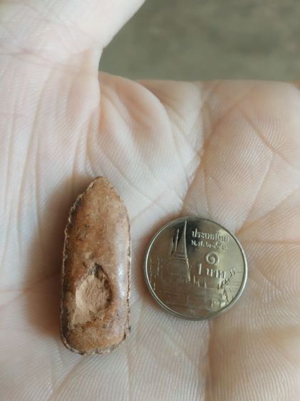 พระเนื้อดิน(พระพิมพ์พระปางลีลากำแพงทุ่งเศรษฐีหลังรูปดอกบัว(วัดศรีรัตนศาสดาราม)(จังหวัดกรุงเทพมหานคร))พระบ้านพระเครื่องรางของมงคล รูปที่ 3