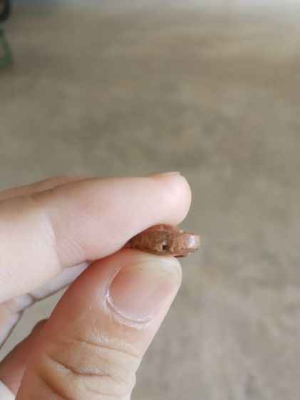 พระเนื้อดิน(พระพิมพ์พระปางลีลากำแพงทุ่งเศรษฐีหลังรูปดอกบัว(วัดศรีรัตนศาสดาราม)(จังหวัดกรุงเทพมหานคร))พระบ้านพระเครื่องรางของมงคล รูปที่ 13