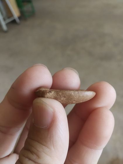 พระเนื้อดินพิมพ์เล็ก(พระพิมพ์พระปางเปิดโลกหลังเรียบ(สภาพไม่สวย)(160411)(ไม่ทราบพระเกจิที่สร้าง))พระบ้านพระเครื่องรางของมงคล รูปที่ 15