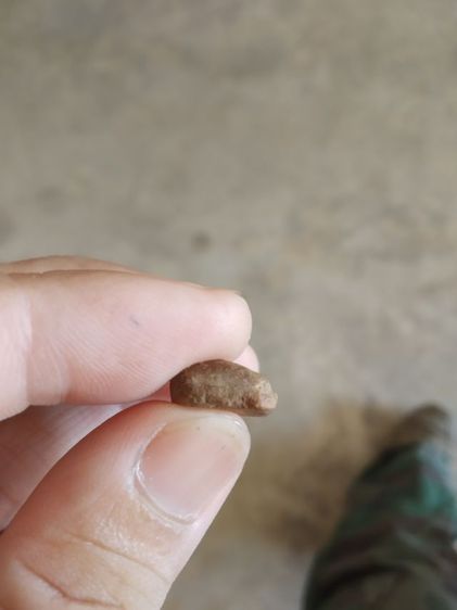 พระเนื้อดินพิมพ์เล็ก(พระปางลีลากำแพงเขย่งหลังเรียบ(ไม่รู้ที่มา)(ไม่ทราบพระเกจิที่สร้าง)(160414))พระบ้านพระเครื่องรางของมงคลพระใหม่ รูปที่ 10