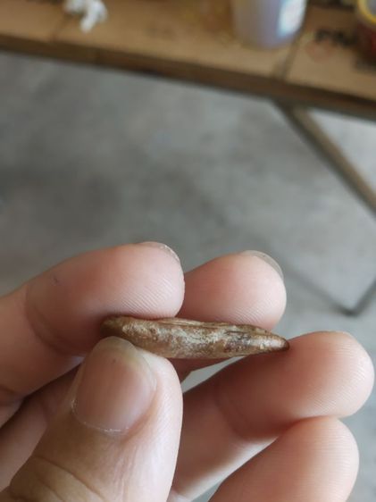 พระเนื้อดินพิมพ์เล็ก(พระพิมพ์พระปางลีลากำแพงเม็ดขนุนหลังเรียบ(160415)(ไม่ทราบพระเกจิที่สร้าง)(ไม่ทราบรุ่นและอายุ))พระเครื่องรางของมงคล รูปที่ 15