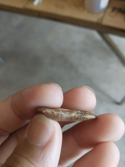 พระเนื้อดินพิมพ์เล็ก(พระพิมพ์พระปางลีลากำแพงเม็ดขนุนหลังเรียบ(160415)(ไม่ทราบพระเกจิที่สร้าง)(ไม่ทราบรุ่นและอายุ))พระเครื่องรางของมงคล รูปที่ 18