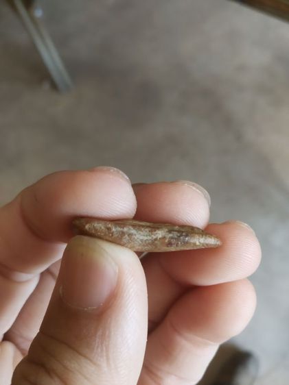 พระเนื้อดินพิมพ์เล็ก(พระพิมพ์พระปางลีลากำแพงเม็ดขนุนหลังเรียบ(160415)(ไม่ทราบพระเกจิที่สร้าง)(ไม่ทราบรุ่นและอายุ))พระเครื่องรางของมงคล รูปที่ 13