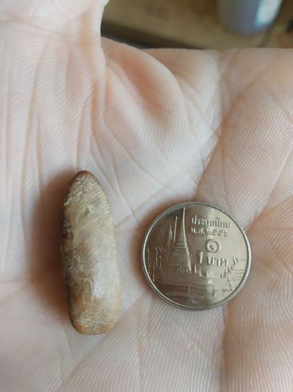 พระเนื้อดินพิมพ์เล็ก(พระพิมพ์พระปางลีลากำแพงเม็ดขนุนหลังเรียบ(160415)(ไม่ทราบพระเกจิที่สร้าง)(ไม่ทราบรุ่นและอายุ))พระเครื่องรางของมงคล รูปที่ 9