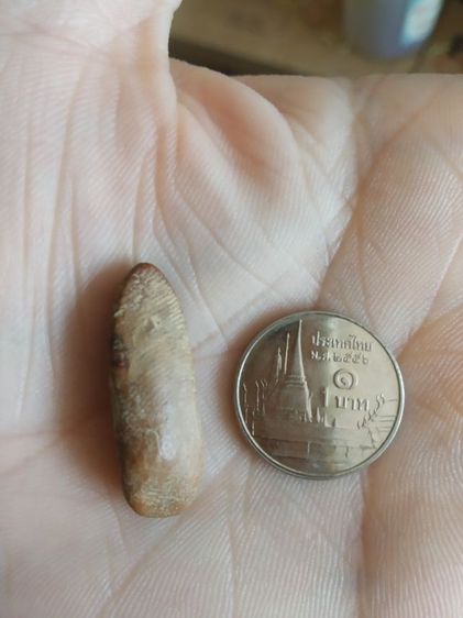 พระเนื้อดินพิมพ์เล็ก(พระพิมพ์พระปางลีลากำแพงเม็ดขนุนหลังเรียบ(160415)(ไม่ทราบพระเกจิที่สร้าง)(ไม่ทราบรุ่นและอายุ))พระเครื่องรางของมงคล รูปที่ 8