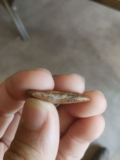 พระเนื้อดินพิมพ์เล็ก(พระพิมพ์พระปางลีลากำแพงเม็ดขนุนหลังเรียบ(160415)(ไม่ทราบพระเกจิที่สร้าง)(ไม่ทราบรุ่นและอายุ))พระเครื่องรางของมงคล รูปที่ 12