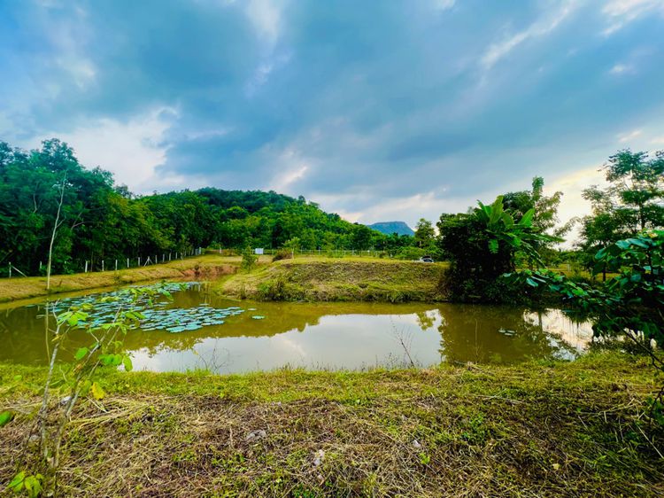 ขายที่โฉนดติดถนนลาดยาง แก่งกระจาน เพชรบุรี รูปที่ 2