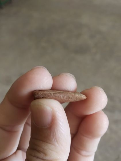 พระเนื้อดินพิมพ์เล็ก(พระปางลีลากำแพงเขย่งหรือพระปางลีลากำแพงเม็ดขนุน(หลังเรียบ)(170401)(ไม่ทราบพระเกจิที่สร้าง))พระบ้านพระเครื่องรางของมงคล รูปที่ 12