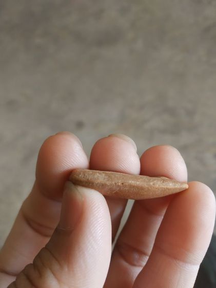 พระเนื้อดิน(พระปางลีลากำแพงทุ่งเศรษฐีหรือพระปางลีลากำแพงนิ้ว(170402)(ไม่ทราบพระเกจิที่สร้าง)(ไม่ทราบรุ่นและอายุ))พระบ้านพระเครื่องรางของมงคล รูปที่ 14