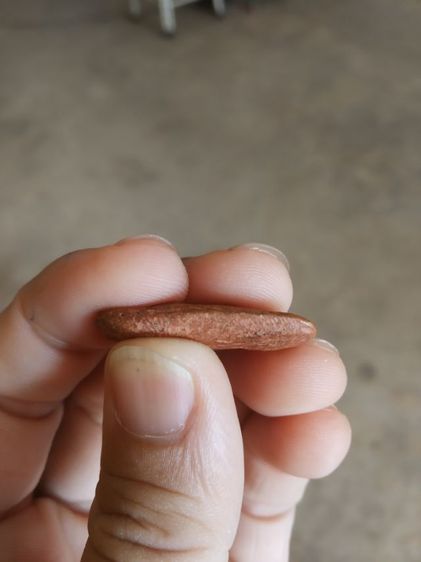 พระเนื้อดินพิมพ์เล็ก(พระปางลีลากำแพงนิ้วหรือพระปางลีลากำแพงเขย่ง(170404)(ไม่ทราบพระเกจิที่สร้าง)(ไม่รู้อายุและรุ่น))พระเครื่องรางของมงคล รูปที่ 13