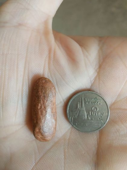 พระเนื้อดินพิมพ์เล็ก(พระปางลีลากำแพงนิ้วหรือพระปางลีลากำแพงเขย่ง(170404)(ไม่ทราบพระเกจิที่สร้าง)(ไม่รู้อายุและรุ่น))พระเครื่องรางของมงคล รูปที่ 11