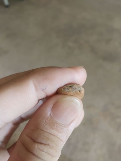 พระเนื้อดินพิมพ์เล็ก(พระพิมพ์พระปางลีลากำแพงนิ้ว(170405)(ไม่ทราบพระเกจิที่สร้าง)(ไม่ทราบอายุและรุ่น))พระบ้านพระเครื่องรางของมงคล รูปที่ 18