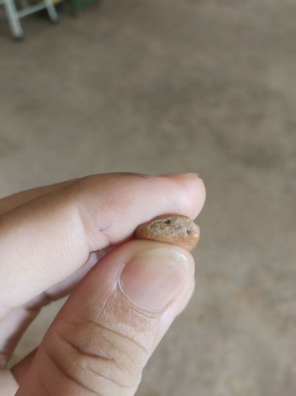 พระเนื้อดินพิมพ์เล็ก(พระพิมพ์พระปางลีลากำแพงนิ้ว(170405)(ไม่ทราบพระเกจิที่สร้าง)(ไม่ทราบอายุและรุ่น))พระบ้านพระเครื่องรางของมงคล รูปที่ 16