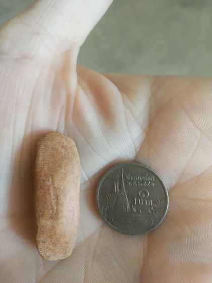 พระเนื้อดินพิมพ์เล็ก(พระพิมพ์พระปางลีลากำแพงทุ่งเข็ม(170406)(ไม่ทราบพระเกจิที่สร้าง)(ไม่ทราบอายุและรุ่น))พระบ้านพระเครื่องรางของมงคล รูปที่ 9