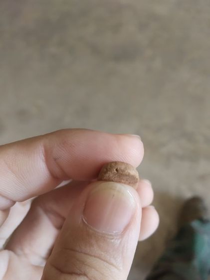 พระเนื้อดินพิมพ์เล็ก(พระพิมพ์พระปางลีลากำแพงทุ่งเข็ม(170406)(ไม่ทราบพระเกจิที่สร้าง)(ไม่ทราบอายุและรุ่น))พระบ้านพระเครื่องรางของมงคล รูปที่ 15