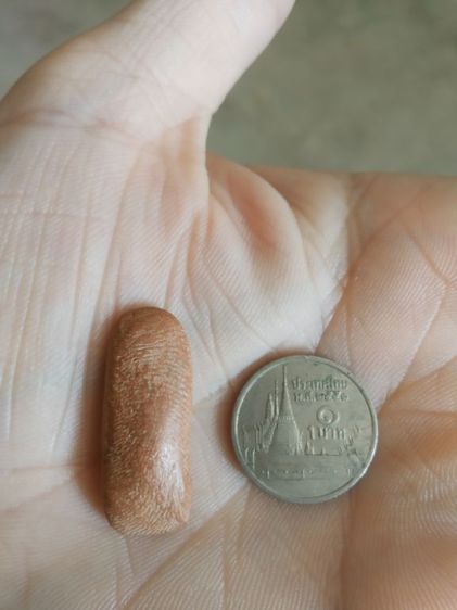 พระเนื้อดินพิมพ์เล็ก(พระพิมพ์พระปางลีลากำแพงเม็ดขนุน(170407)(ไม่ทราบพระเกจิที่สร้าง)(ไม่ทราบรุ่นและอายุ))พระบ้านพระเครื่องรางของมงคล รูปที่ 10