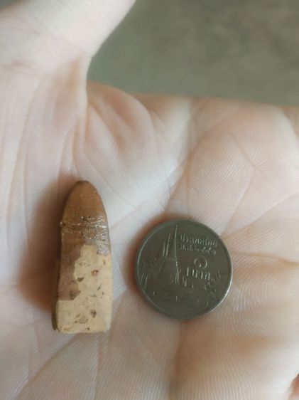 พระเนื้อดินพิมพ์เล็ก(พระพิมพ์พระปางลีลาสวรรค์ย้อน(พระใหม170409)(ไม่ทราบพระเกจิที่สร้าง)(ไม่ทราบรุ่นและอายุ))พระบ้านพระเครื่องรางของมงคล รูปที่ 7