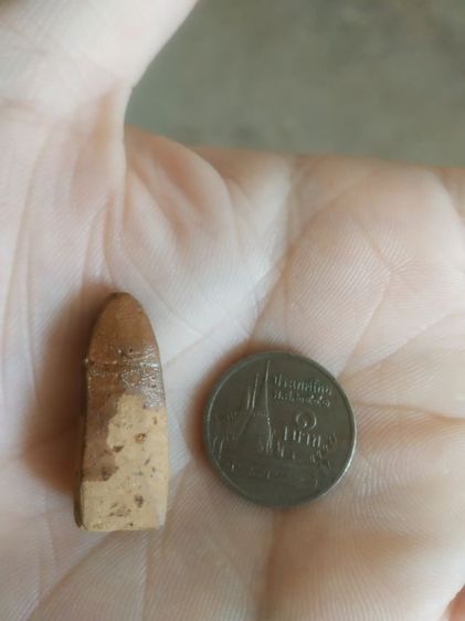 พระเนื้อดินพิมพ์เล็ก(พระพิมพ์พระปางลีลาสวรรค์ย้อน(พระใหม170409)(ไม่ทราบพระเกจิที่สร้าง)(ไม่ทราบรุ่นและอายุ))พระบ้านพระเครื่องรางของมงคล รูปที่ 11