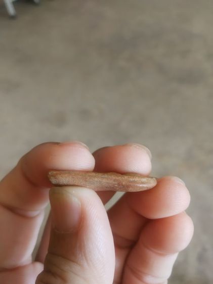 พระเนื้อดินพิมพ์เล็ก(พระพิมพ์พระปางลีลากำแพงทุ่งเศรษฐีหลังเรียบ(170410)(ไม่ทราบพระเกจิที่สร้าง)(ไม่ทราบรุ่น))พระบ้านพระเครื่องรางของมงคล รูปที่ 12