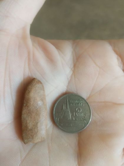 พระเนื้อดินพิมพ์เล็ก(พระพิมพ์พระปางลีลากำแพงทุ่งเศรษฐีหลังเรียบ(170410)(ไม่ทราบพระเกจิที่สร้าง)(ไม่ทราบรุ่น))พระบ้านพระเครื่องรางของมงคล รูปที่ 10