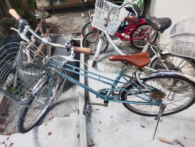 จักรยานแม่บ้านญี่ปุ่น รูปที่ 2