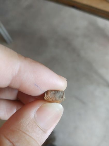 พระเนื้อดินเผาพิมพ์เล็ก(พระพิมพ์พระปางลีลากำแพงเขย่งหลังเรียบ(ไม่ค่อยสวย)(190403)(ไม่ทราบพระเกจิที่สร้าง))พระบ้านพระเครื่องรางของมงคล รูปที่ 15