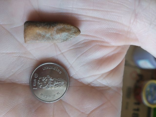 พระเนื้อดินเผาพิมพ์เล็ก(พระพิมพ์พระปางลีลากำแพงเขย่งหลังเรียบ(ไม่ค่อยสวย)(190403)(ไม่ทราบพระเกจิที่สร้าง))พระบ้านพระเครื่องรางของมงคล รูปที่ 17