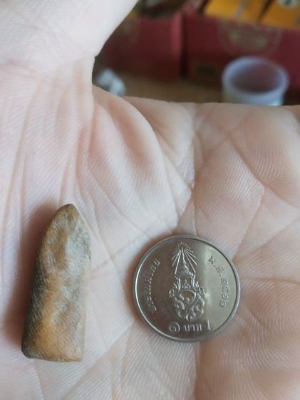 พระเนื้อดินเผาพิมพ์เล็ก(พระพิมพ์พระปางลีลากำแพงเขย่งหลังเรียบ(ไม่ค่อยสวย)(190403)(ไม่ทราบพระเกจิที่สร้าง))พระบ้านพระเครื่องรางของมงคล รูปที่ 7