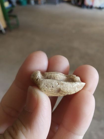 พระเนื้อว่านผสมผง(พระพิมพ์พระปิดตาเนื้อขาวหลังเรียบรูปทรงคล้ายกับไข่(ไม่ทราบพระเกจิที่สร้าง)(ไม่ทราบอายุและรุ่น))พระบ้านพระเครื่องรางของมงคล รูปที่ 12