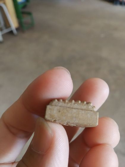 พระเนื้อว่านผสมผง(พระพิมพ์พระหลวงปู่ทวด(พระหลวงปู่เหรียญวรลาโภ)(วัดอรัญบรรพต)(จังหวัดหนองคาย)(ไม่ทราบปีสร้าง))พระบ้านพระเครื่องรางของมงคล รูปที่ 15