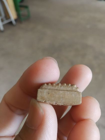 พระเนื้อว่านผสมผง(พระพิมพ์พระหลวงปู่ทวด(พระหลวงปู่เหรียญวรลาโภ)(วัดอรัญบรรพต)(จังหวัดหนองคาย)(ไม่ทราบปีสร้าง))พระบ้านพระเครื่องรางของมงคล รูปที่ 17