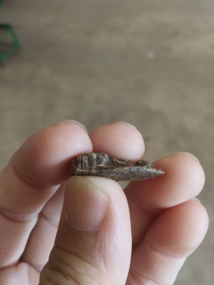 พระเนื้อดินผสมผงพิมพ์เล็ก(พระพิมพ์พระรอดหลังปั๊มวัดมหาวันเนื้อออกสีดำสลับขาว(จังหวัดลำพูน)(ไม่ทราบปีที่สร้าง))พระบ้านพระเครื่องรางของมงคล รูปที่ 11