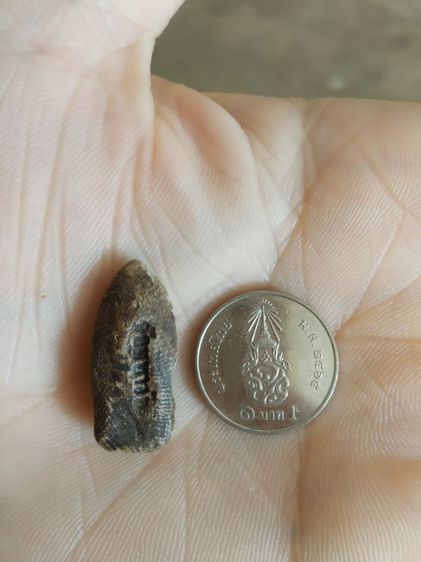 พระเนื้อดินผสมผงพิมพ์เล็ก(พระพิมพ์พระรอดหลังปั๊มวัดมหาวันเนื้อออกสีดำสลับขาว(จังหวัดลำพูน)(ไม่ทราบปีที่สร้าง))พระบ้านพระเครื่องรางของมงคล รูปที่ 8