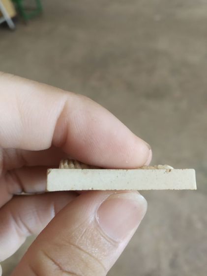 พระเนื้อว่านผสมผง(พระพิมพ์พระปางนาคปรก(พระหลวงปู่เหรียญวรลาโภ)(วัดอรัญบรรพตรุ่นศรัทธาบารมี)(จังหวัดหนองคายปี2539))พระเครื่องรางของมงคล รูปที่ 13