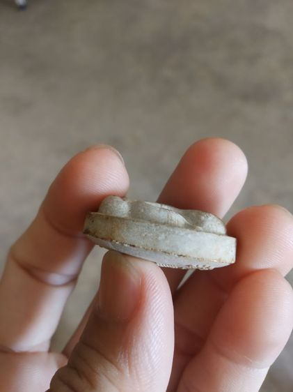 พระเนื้อมาหาว่านผสมเกสร(พระพิมพ์พระปิดตา(พระหลวงปู่เหรียญวรลาโภ)(วัดอรัญบรรพตรุ่นศรัทธาบารมี)(จังหวัดหนองคายปี2539)001)พระเครื่องรางของมงคล รูปที่ 14