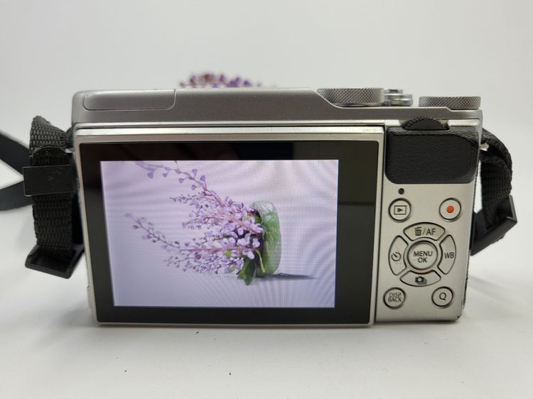 Fujifilm X-A10 + เลนส์ XC 16-50 mm. รูปที่ 6