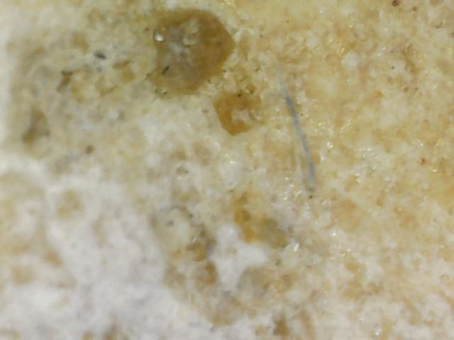 บางขุนพรหม กรุเก่า รูปที่ 16