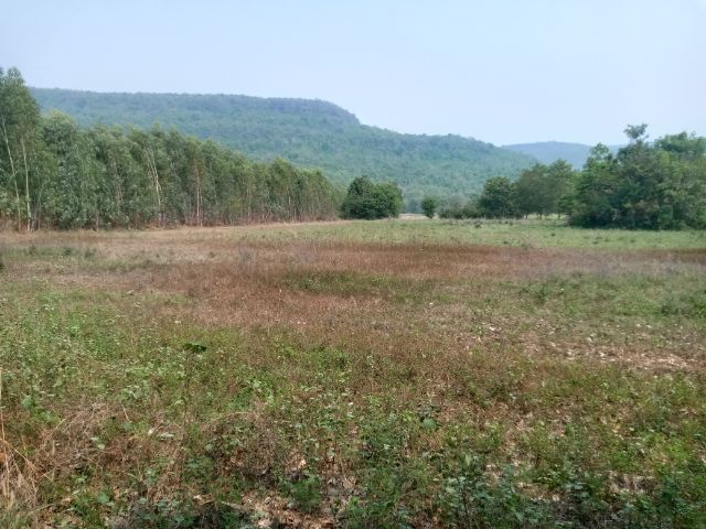  ขายที่ดินโฉนด 7 ไร่ 2 งาน 63 ตารางวาทำเลดี รูปที่ 4