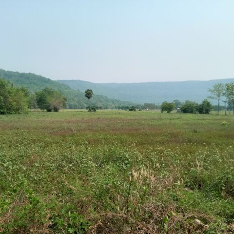  ขายที่ดินโฉนด 7 ไร่ 2 งาน 63 ตารางวาทำเลดี รูปที่ 3