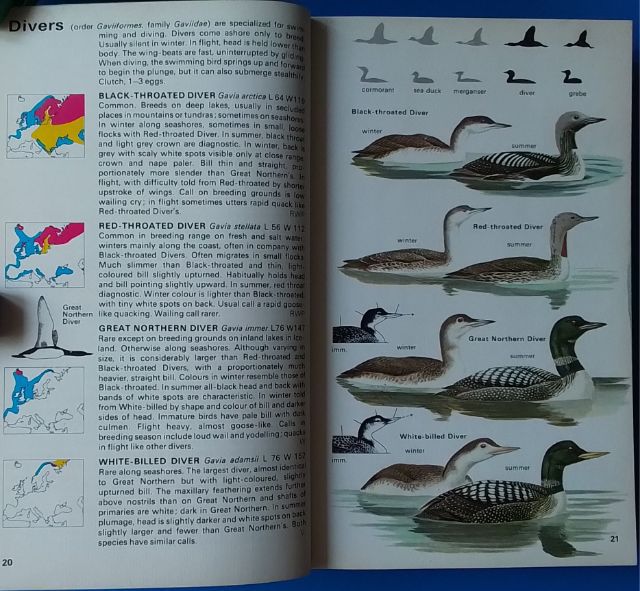 หนังสือ Birds of Britain and Europe รูปที่ 8