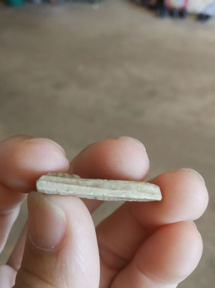 พระเนื้อว่านผสมผง(พระพิมพ์พระหลวงพ่อเพชรพิมพ์ซุ้มโค้ง(วัดบางช้างใต้)(จังหวัดนครปฐมปี2512)(หลวงพ่อเงินวัดดอนยายหอมปลุกเสก))พระเครื่องของมงคล รูปที่ 14