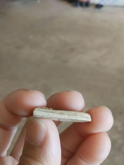 พระเนื้อว่านผสมผง(พระพิมพ์พระหลวงพ่อเพชรพิมพ์ซุ้มโค้ง(วัดบางช้างใต้)(จังหวัดนครปฐมปี2512)(หลวงพ่อเงินวัดดอนยายหอมปลุกเสก))พระเครื่องของมงคล รูปที่ 16