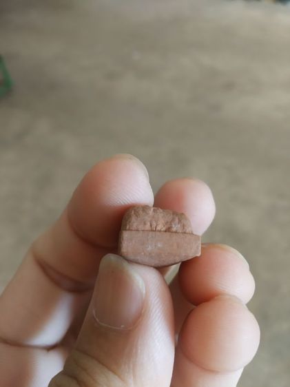 พระเนื้อว่านผสมผงพิมพ์เล็ก(ภาพพิมพ์พระหลวงปู่ทวดหลังนูนเล็กน้อยเนื้อออกสีแดงอ่อน(ไม่ทราบพระเกจิที่สร้าง)(230401))พระบ้านพระเครื่องรางของมงคล รูปที่ 18