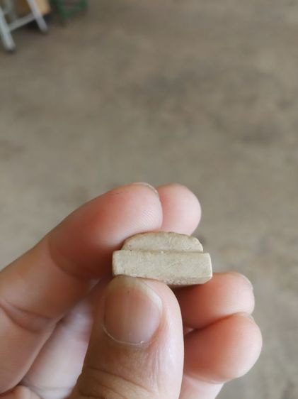 พระเนื้อว่านผสมผง(พระพิมพ์พระหลวงปู่ทวดหลังอักขระ(เนื้อผงพุทธคุณสีขาว)(วัดช้างให้จังหวัดปัตตานี)(010101))พระบ้านพระเครื่องรางของมงคล รูปที่ 17