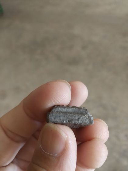 พระเนื้อว่านผสมผงใบลาน(พระรูปเหมือนพระหลวงปู่ทวดหลังยันต์(วัดช้างให้จังหวัดปัตตานี)(230405)(ไม่ทราบปีที่สร้าง))พระบ้านพระเครื่องรางของมงคล รูปที่ 17