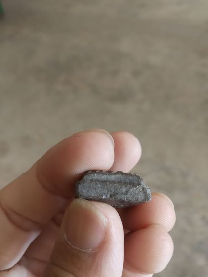 พระเนื้อว่านผสมผงใบลาน(พระรูปเหมือนพระหลวงปู่ทวดหลังยันต์(วัดช้างให้จังหวัดปัตตานี)(230405)(ไม่ทราบปีที่สร้าง))พระบ้านพระเครื่องรางของมงคล รูปที่ 18